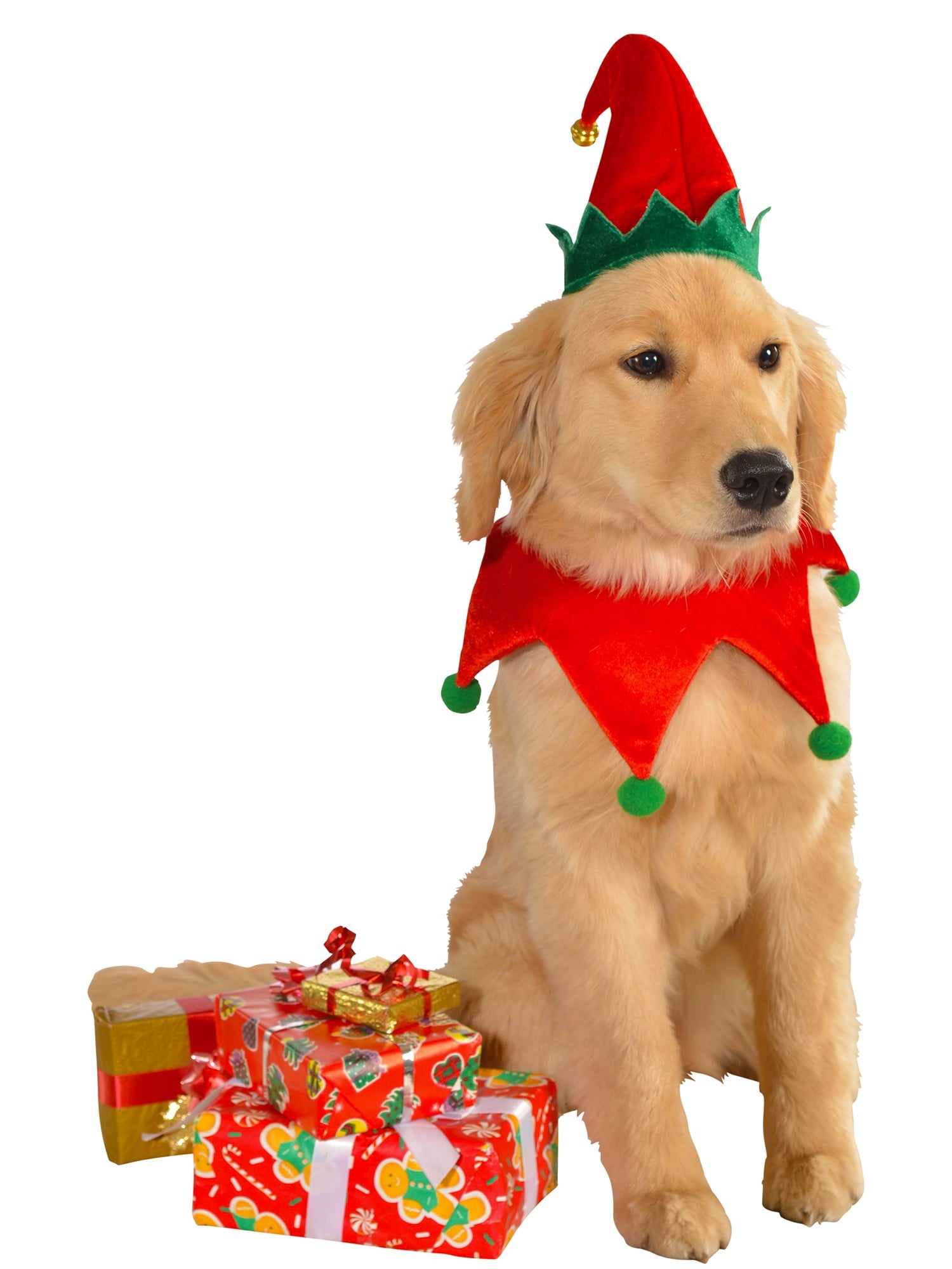 Rubies Holiday Elf Pet Costume Accessory Set for Dogs or Cats, Medium/Large