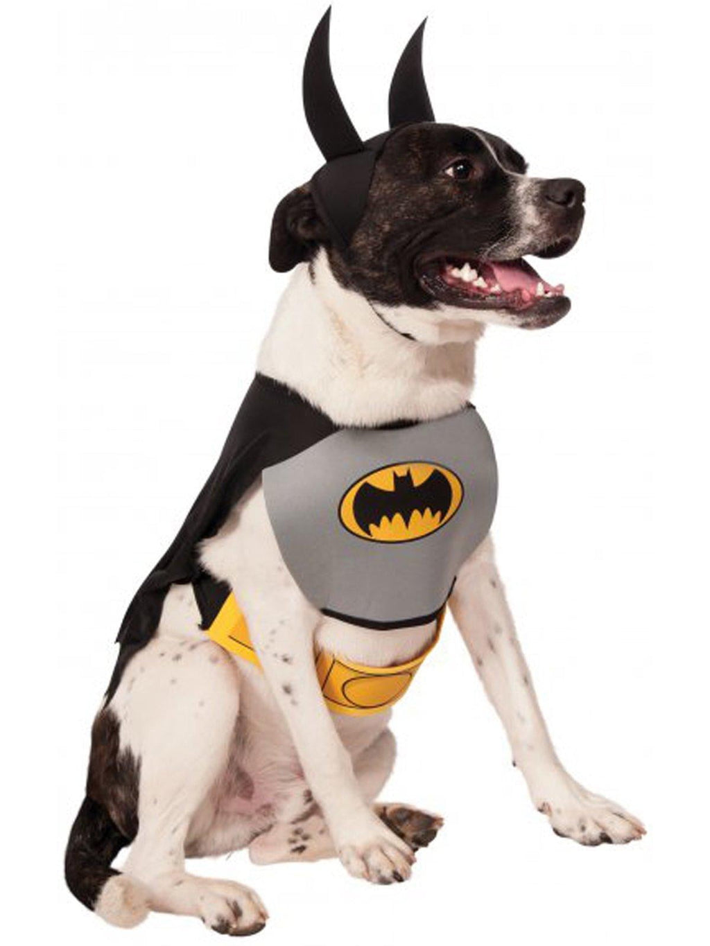 DC Comics Batman Pet Costume Accessory Set for Dogs or Cats by Rubies, Large