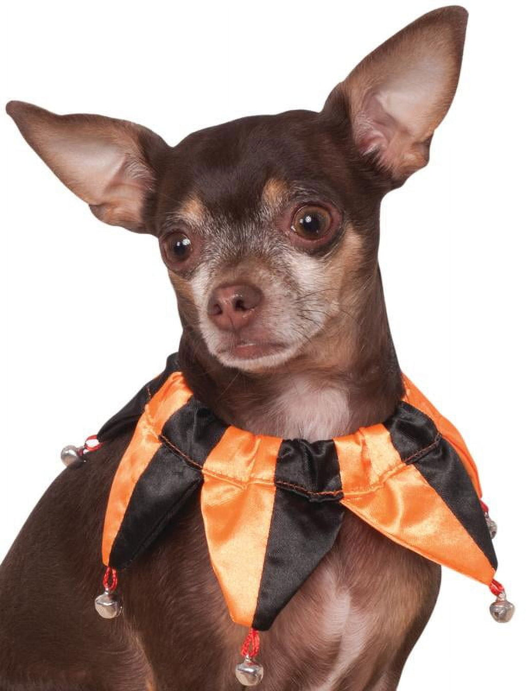 Rubies Pet Shop Boutique Pet Halloween Costume Accessory Orange Jester Collar For Dog or Cat S/M