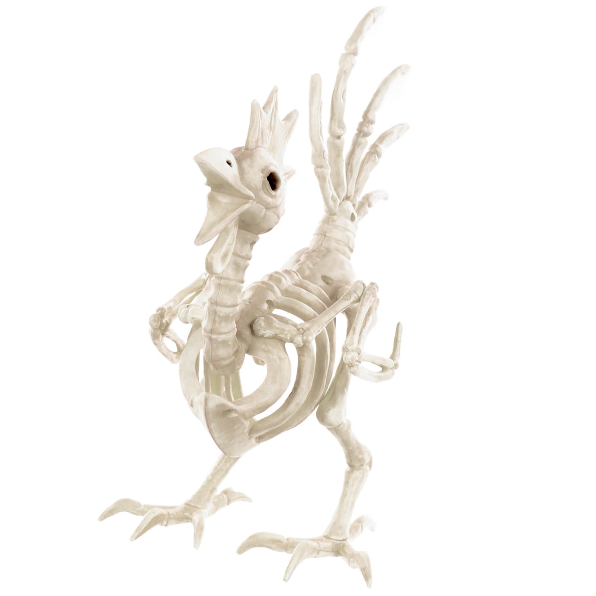 Seasons 12" Skeleton Rooster Halloween Decoration for Crazy Bonez Skeleton Line