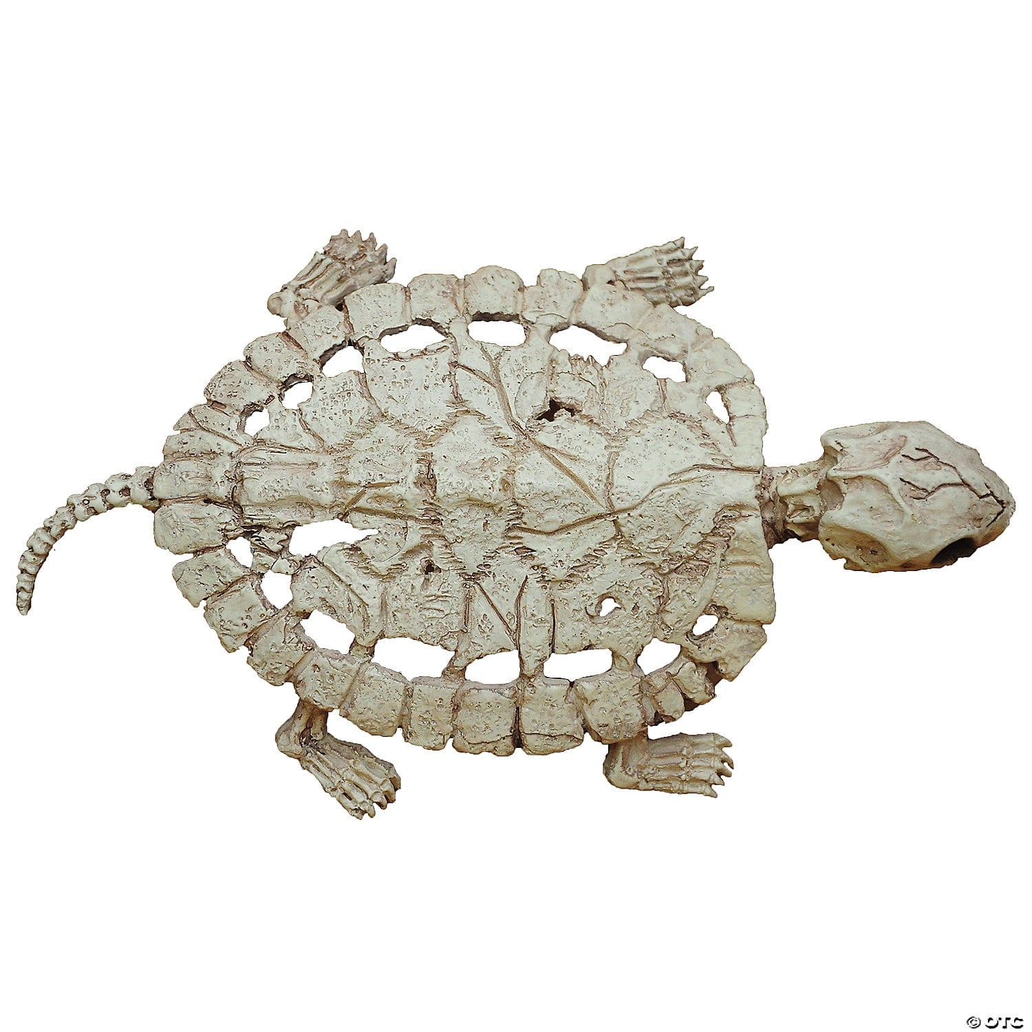 Skeleton Turtle Halloween Decoration