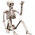 TETOU 2 Packs Halloween Skeletons, 14.9" Halloween Full Body Skeleton with Posable Joints for Haunted House Graveyard Props Decor