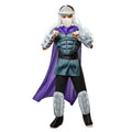 Teenage Mutant Ninja Turtles Retro Shredder Deluxe Costume for Kids by Rubies, Boys Medium