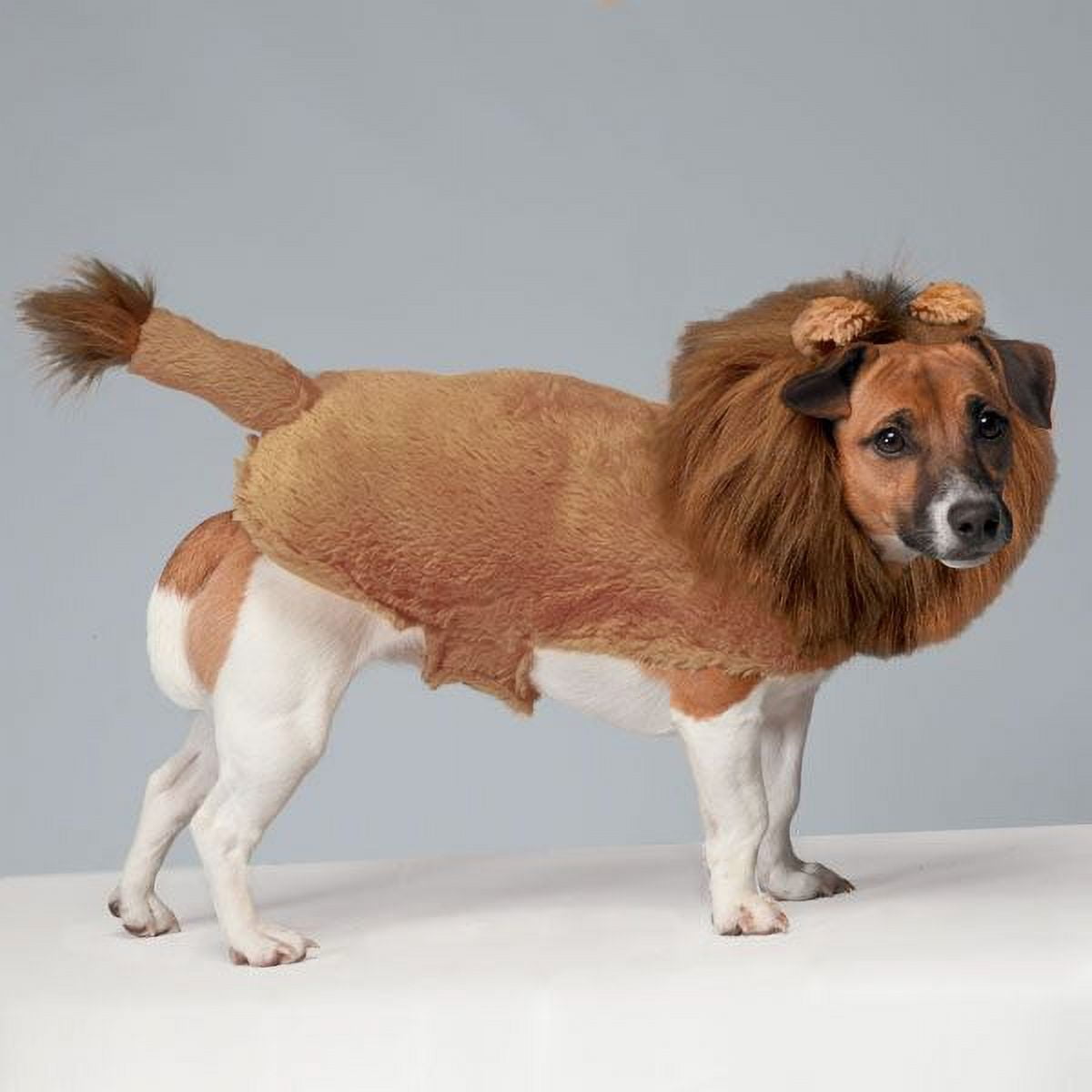 Zack & Zoey Fuzzy Lion Dog Costume - Halloween Costume - Small measures 12" in length
