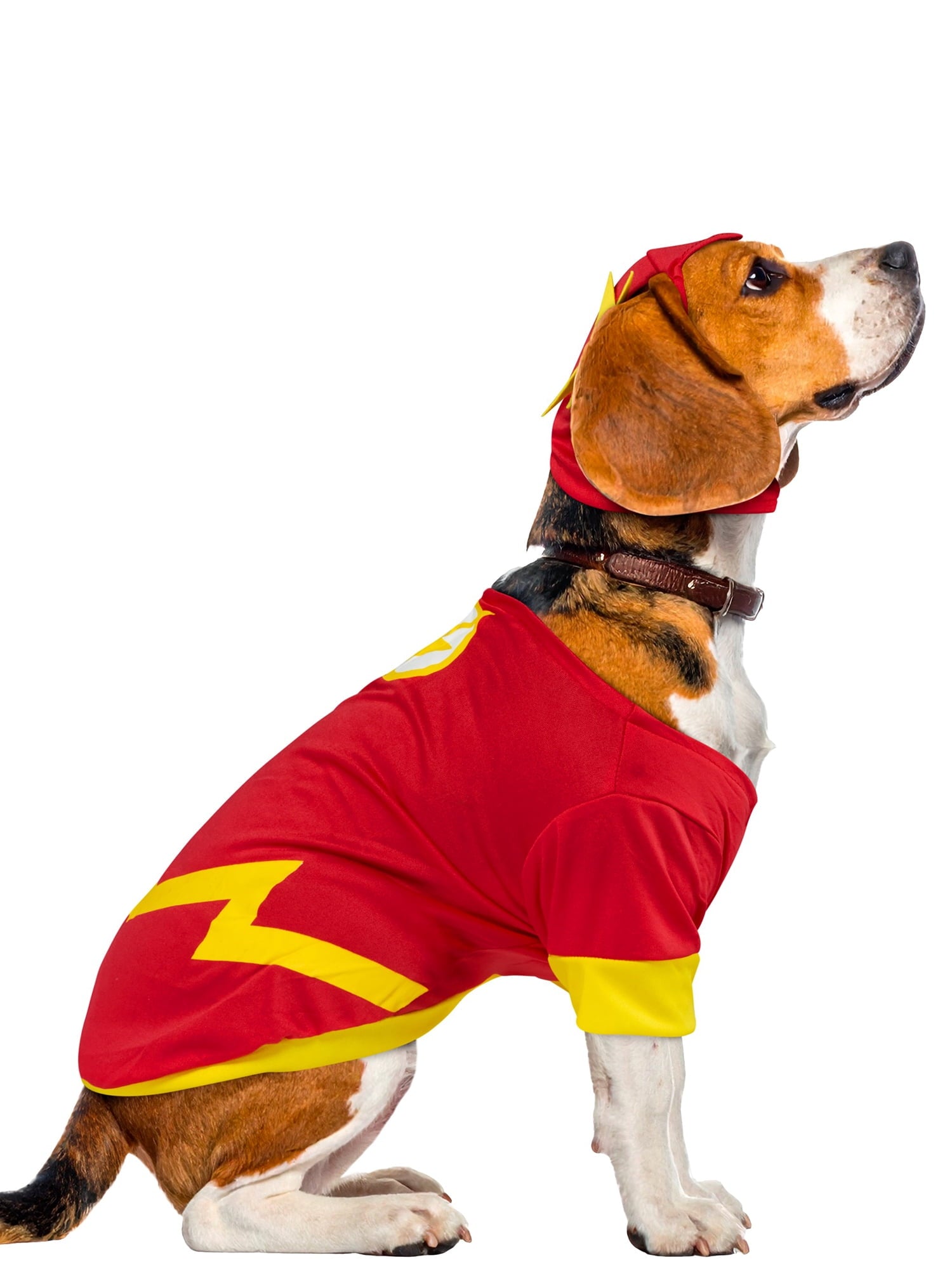 Flash Pet Costume