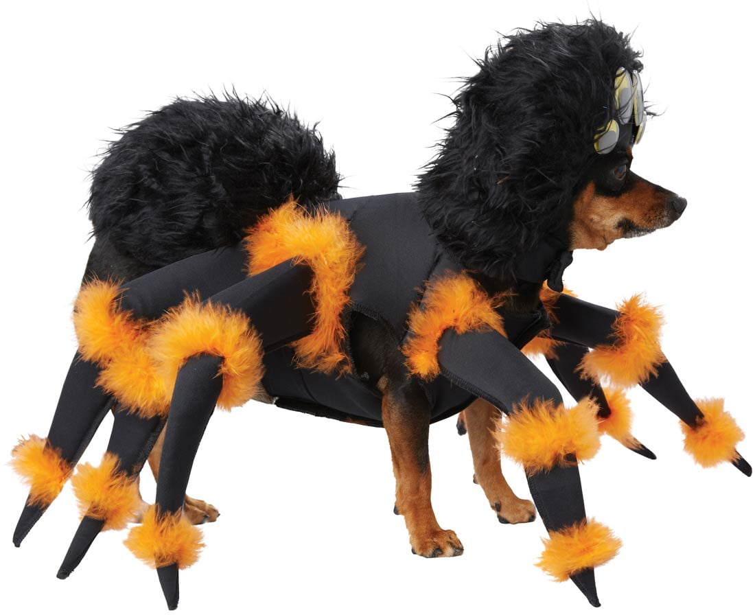 California Costumes Spider Pup Pet Costume Size Medium Unisex