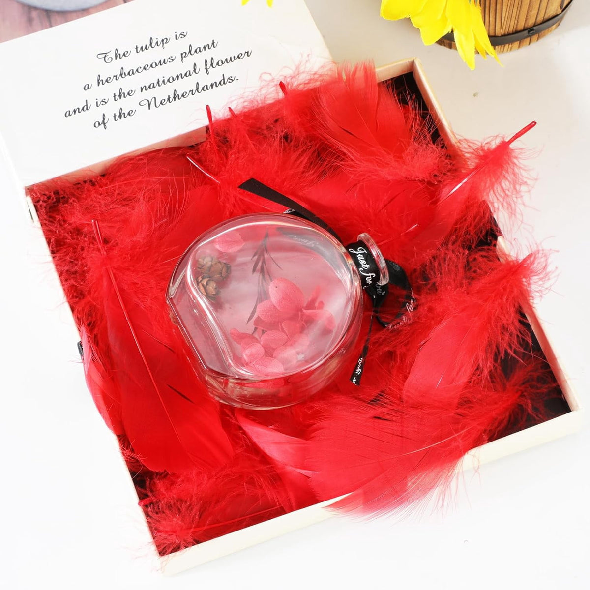 600PCS Red Feathers, 3-4.7 inch Feathers Bulk for DIY Crafts Wedding Halloween Costume Party Decorations Dream Catcher Supplies