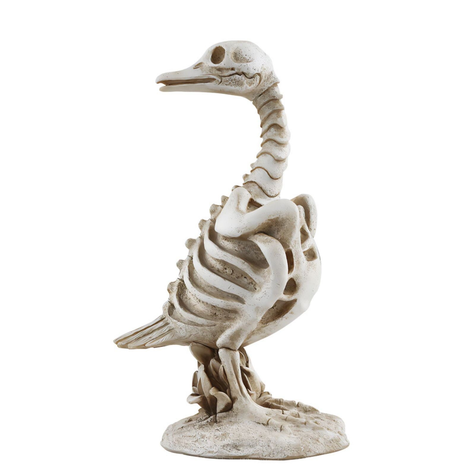 amlbb Halloween Decoration Halloween Skeleton Horror Decorations Simulation Animals Skeleton Ornaments Bar Decoration Frogs Skeleton on Clearance