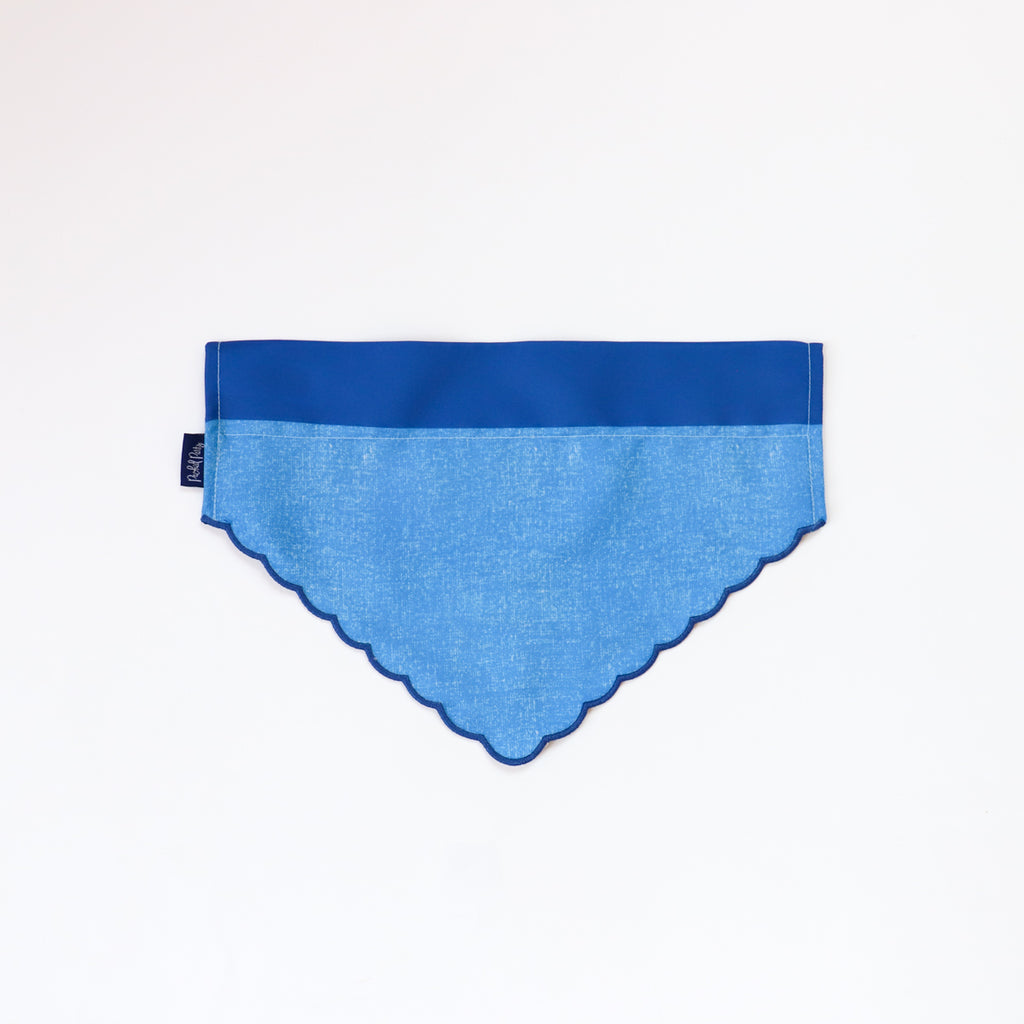 Packed Party Bandana for Dogs, Patches, Extra Small/Small