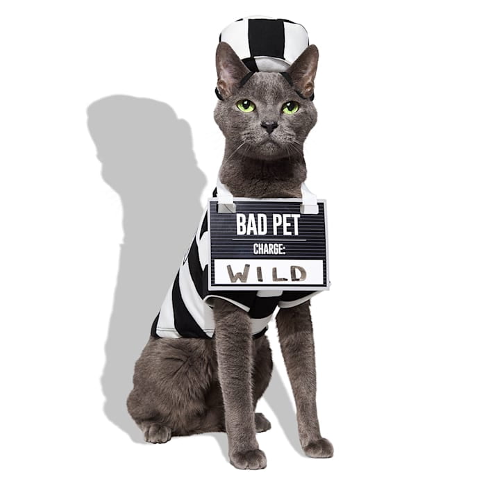 Petco Prisoner Pet Halloween Costume 3X-Large
