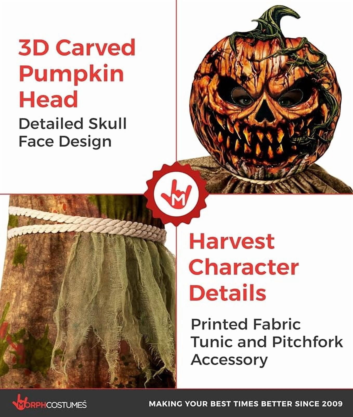 Morph Scarecrow Pumpkin Boys Halloween Costume for Boy Brown Large