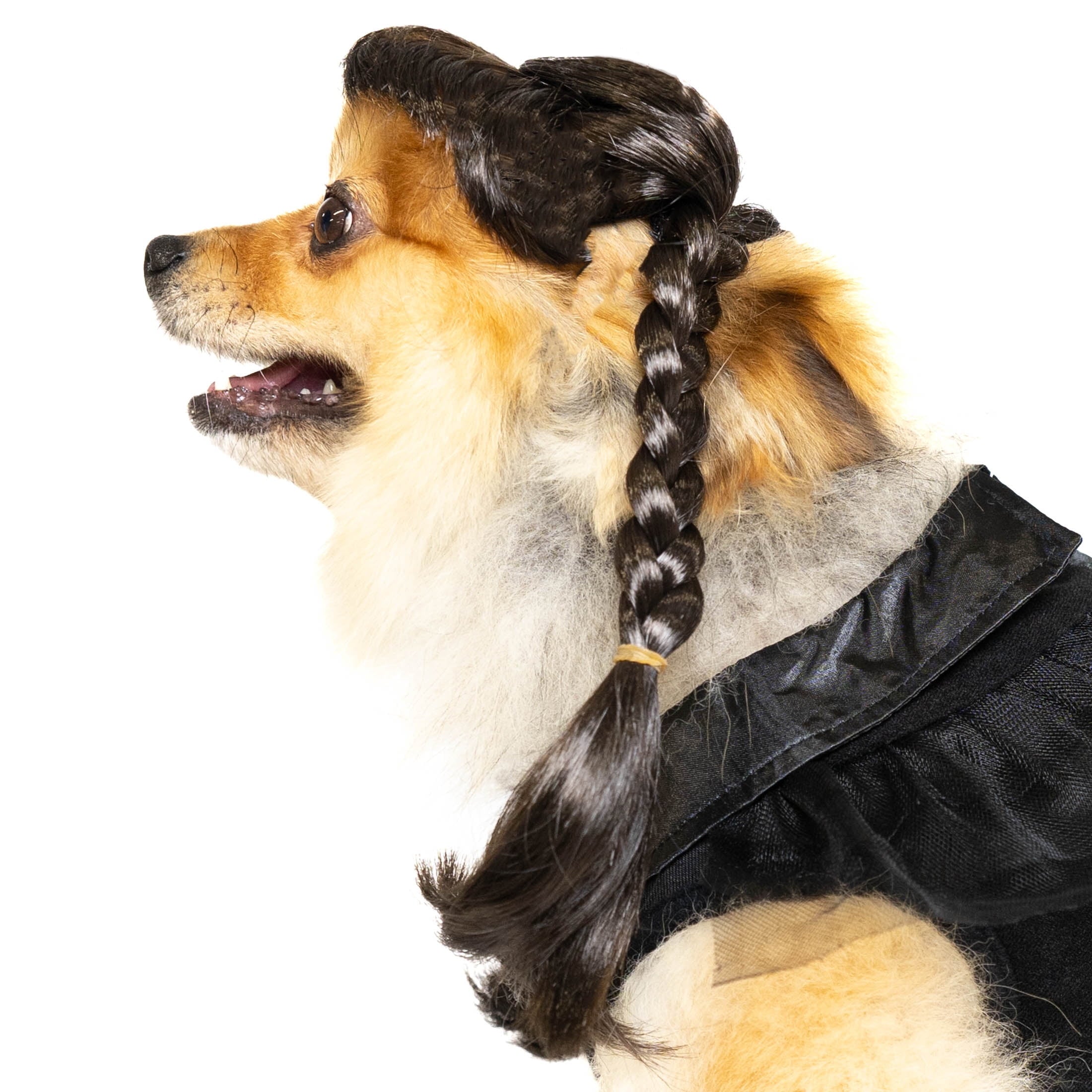 Vibrant Life Halloween Gothic Girl Costume for Dogs, Black, Large