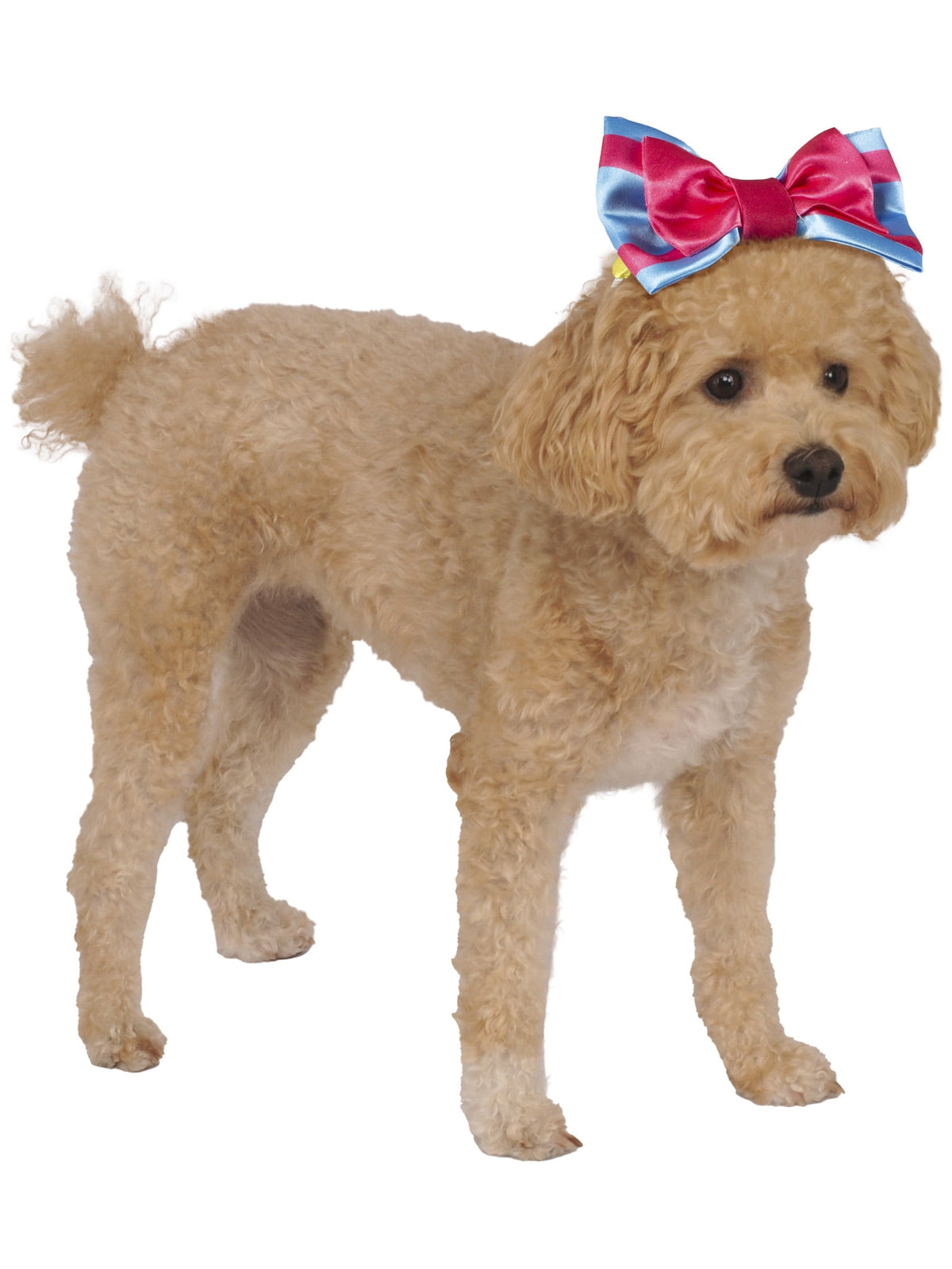 Snow White Pet Toy Bundle