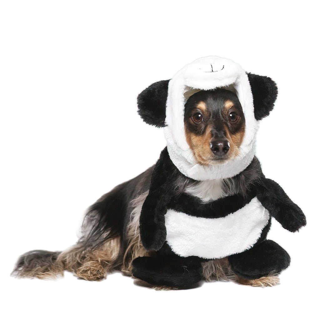 Vibrant Life Vl Hw Panda Costume Small