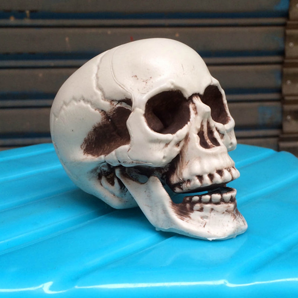 Darzheoy Halloween Skull Model Realistic Fake Simulation Human Skull Head Model Halloween Prop Realistic Mini Skeleton Spooky Halloween Decoration