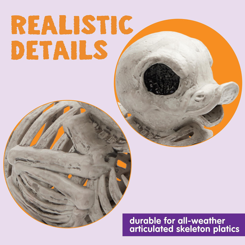 Joyfy 2 Pcs Duck Skeleton Halloween Decoration,4.5 Inch Posable Plastic Animals Halloween Skeleton for Indoor Outdoor Halloween Decorations,Haunted House Party Props
