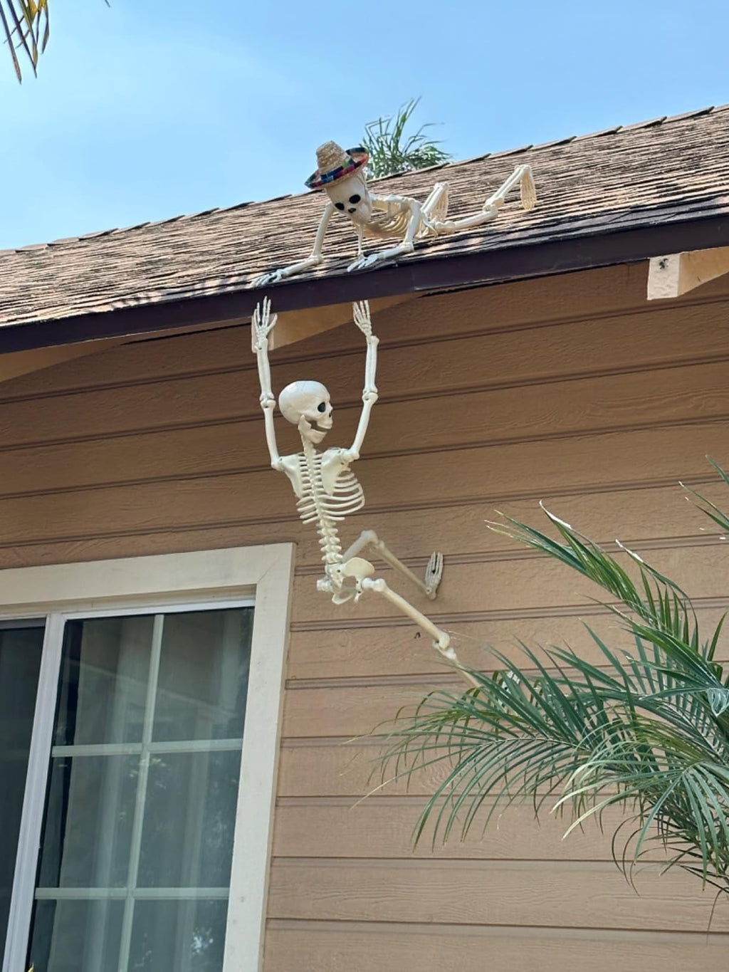 AGCAN 4 Packs Posable Halloween Hanging Skeleton Decoration, 16 Inch Halloween Decorations with Movable Joints for Graveyard Haunted House Props Decor Indoor Outdoor