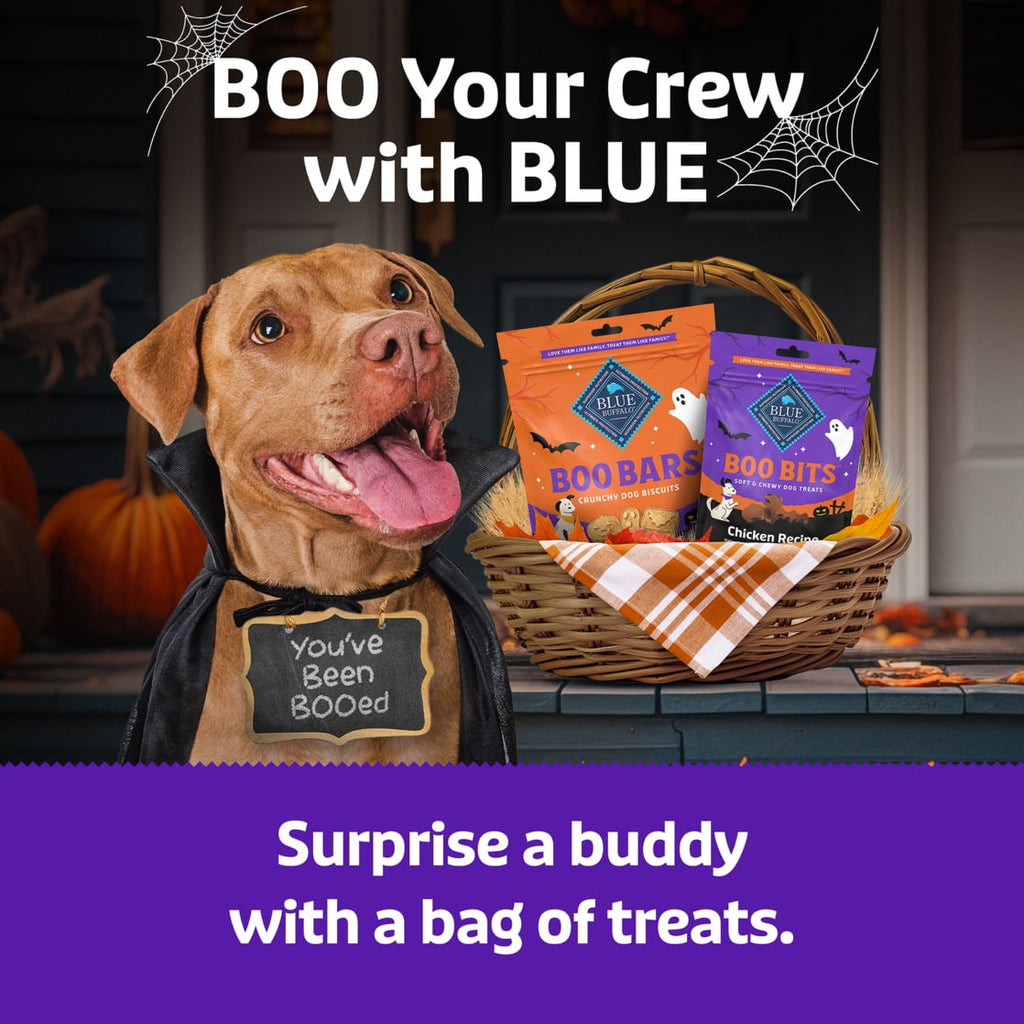 Blue Buffalo Boo Bits Soft & Chewy Halloween Dog Treats, Tasty Chicken Recipe, 4.5-oz Bag