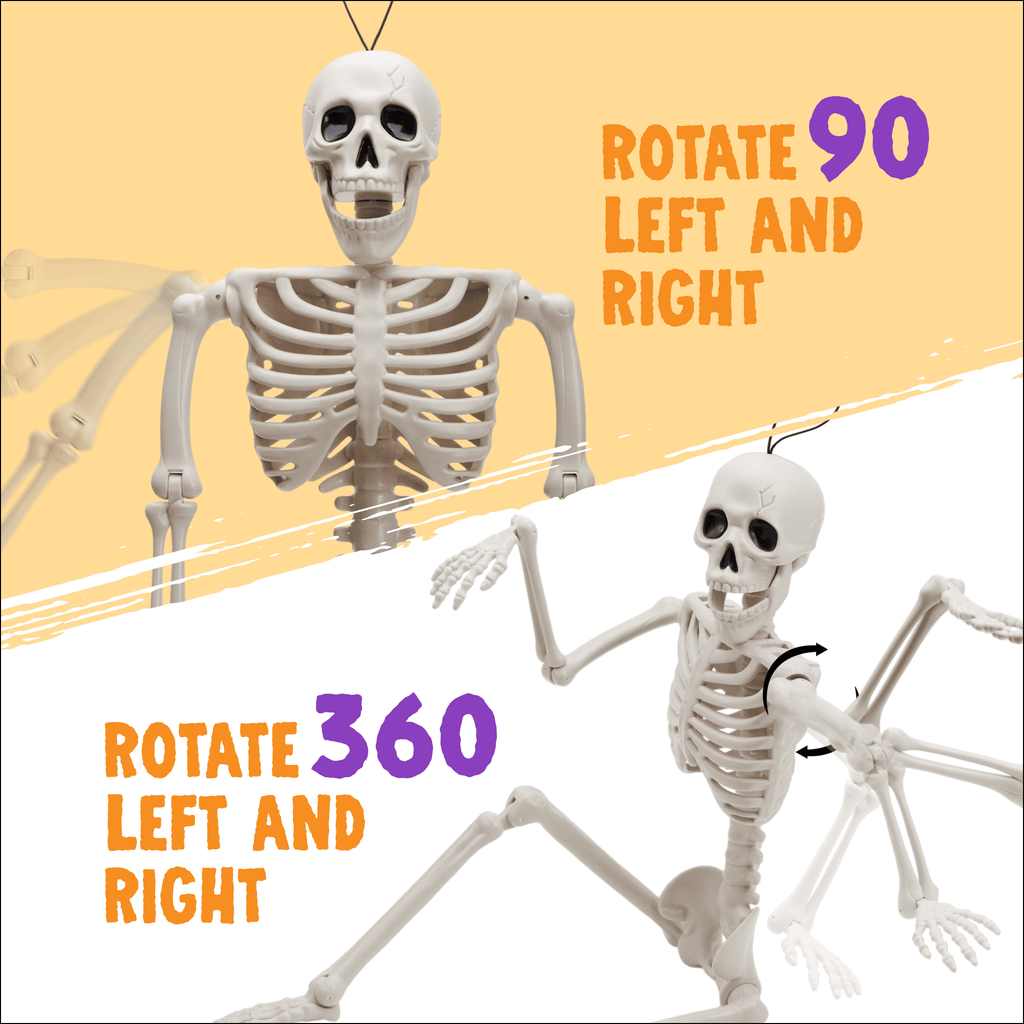 Joyfy 5 Pcs Halloween Skeleton Decorations,16 inch Full Body Poseable Skeleton with Movable Joints for Halloween Indoor Outdoor Party,Graveyard,Haunted House Accessories,White