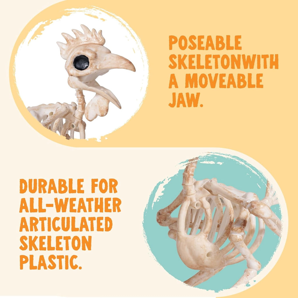 Joyfy 2 Pcs Duck Skeleton Halloween Decoration,4.5 Inch Posable Plastic Animals Halloween Skeleton for Indoor Outdoor Halloween Decorations,Haunted House Party Props