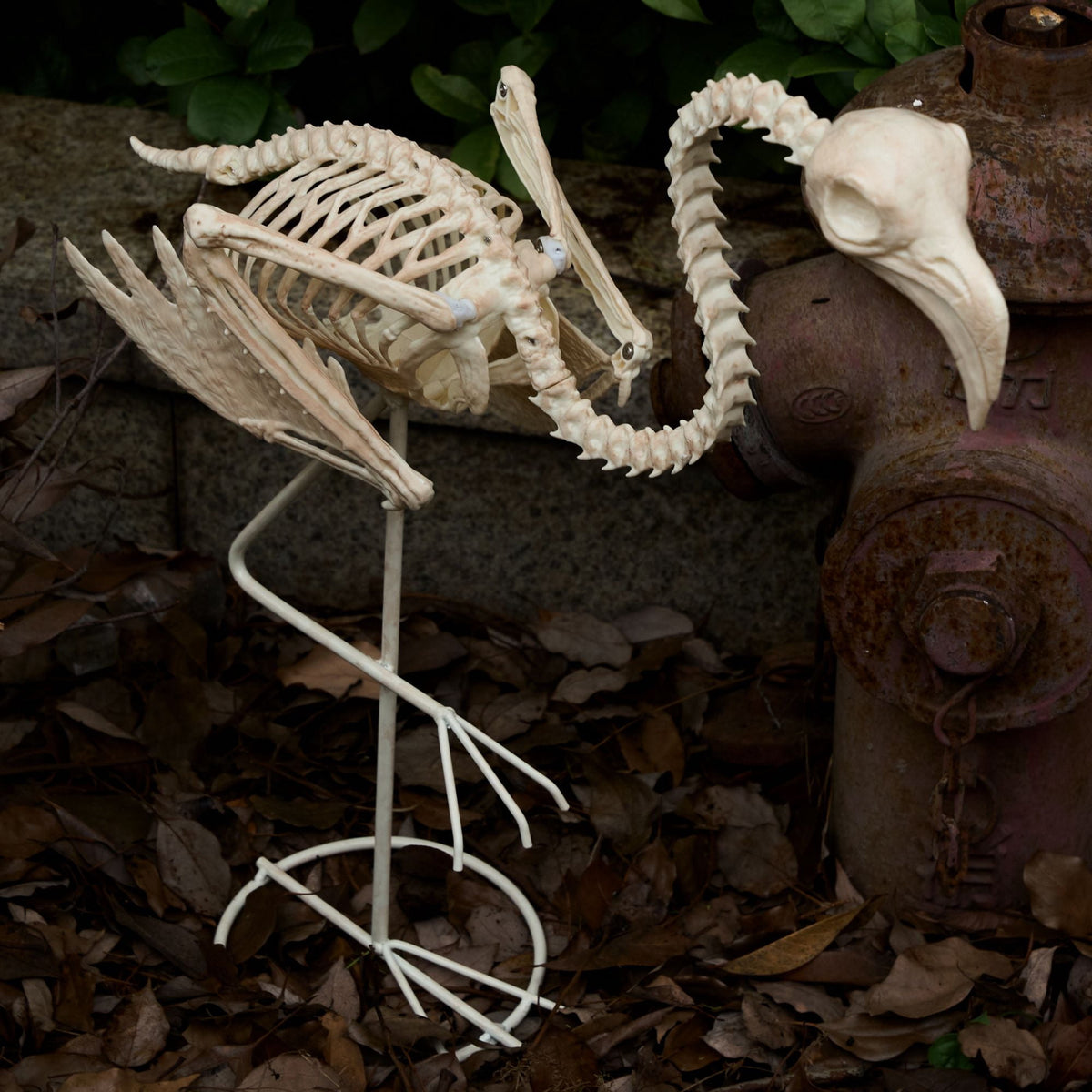 Joyfy 2 Pcs Duck Skeleton Halloween Decoration,4.5 Inch Posable Plastic Animals Halloween Skeleton for Indoor Outdoor Halloween Decorations,Haunted House Party Props