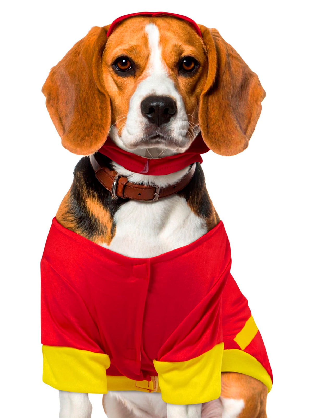 Flash Pet Costume