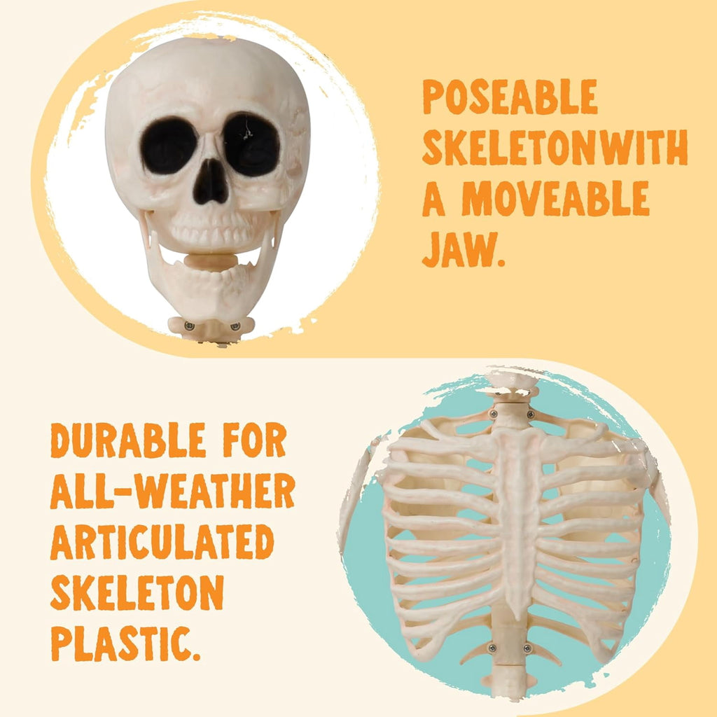 Foraging dimple 36" Halloween Skeleton Decor, 3FT Full Body Stayable Movable Joints, Hanging Skeletons for Halloween Decoration, Yard Graveyard Haunted House Props, Spooky Scene Party Favor