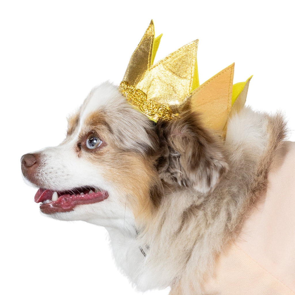 Vibrant Life Halloween Good Witch Costume for Dogs, Pink and Gold, Medium