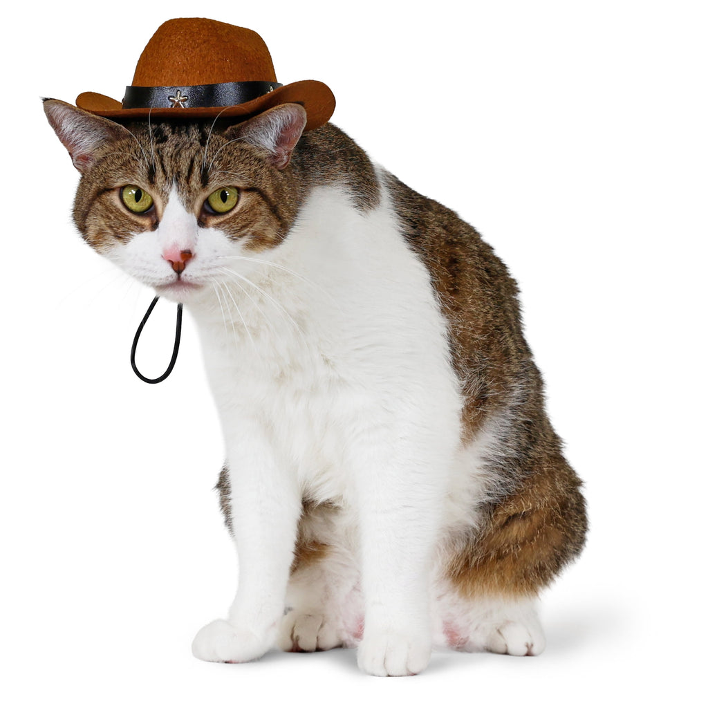 Vibrant Life Halloween Pet Cowboy Hat Costume Accessory for Dogs & Cats, Brown, XS/S