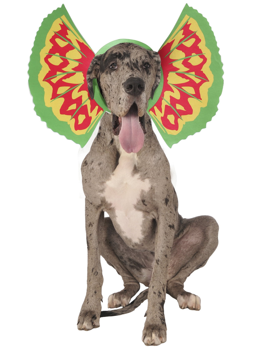 Jurassic World Dilophosaurus Gills Collar Pet Accessory