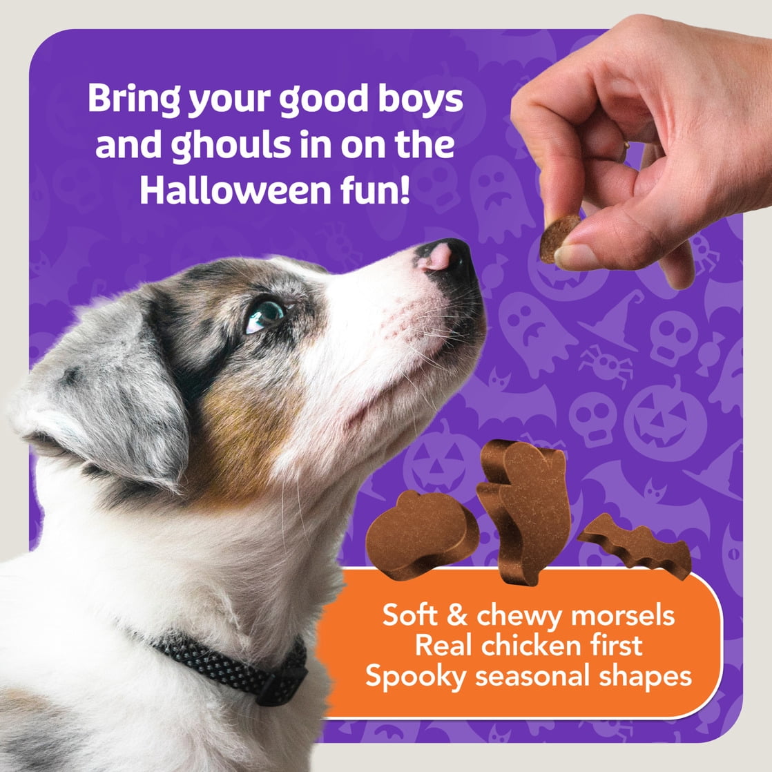 Blue Buffalo Boo Bits Soft & Chewy Halloween Dog Treats, Tasty Chicken Recipe, 4.5-oz Bag