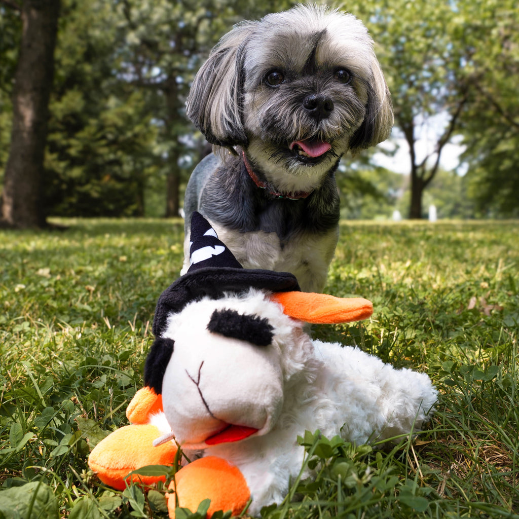 Multipet Halloween Lamb Chop Plush Dog Toy with Witch Hat, Squeaky Holiday Pet Toy