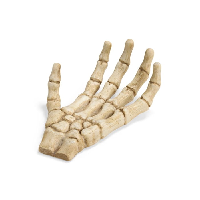 Petco Halloween Skeleton Claw Reptile Habitat Hideaway White Large