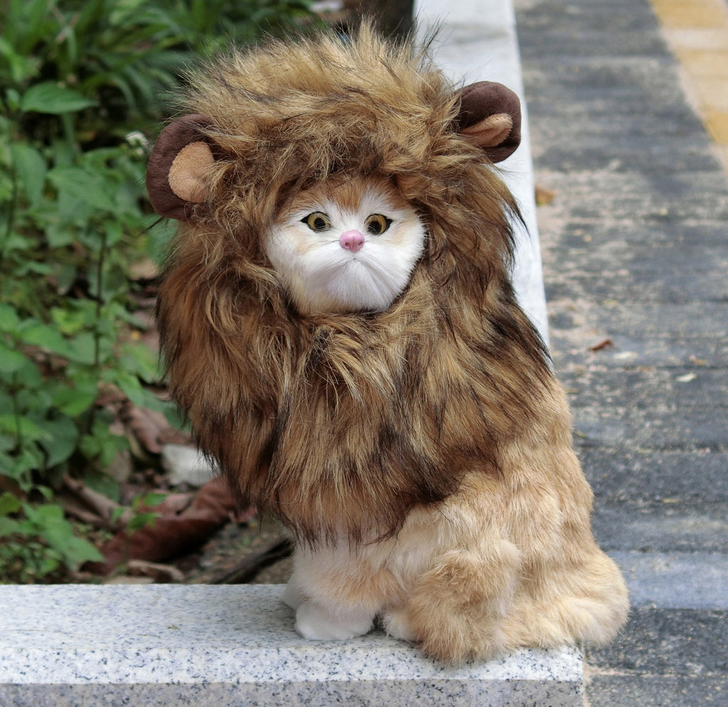 Lion Mane Wig for Cats, Funny Pet Cat Costumes for Halloween Christmas (Size S, Black)
