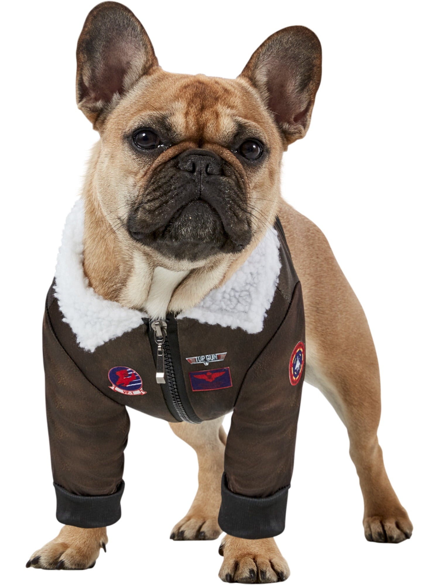 Top Gun Pet Costume for Dogs or Cats by Rubies, XS