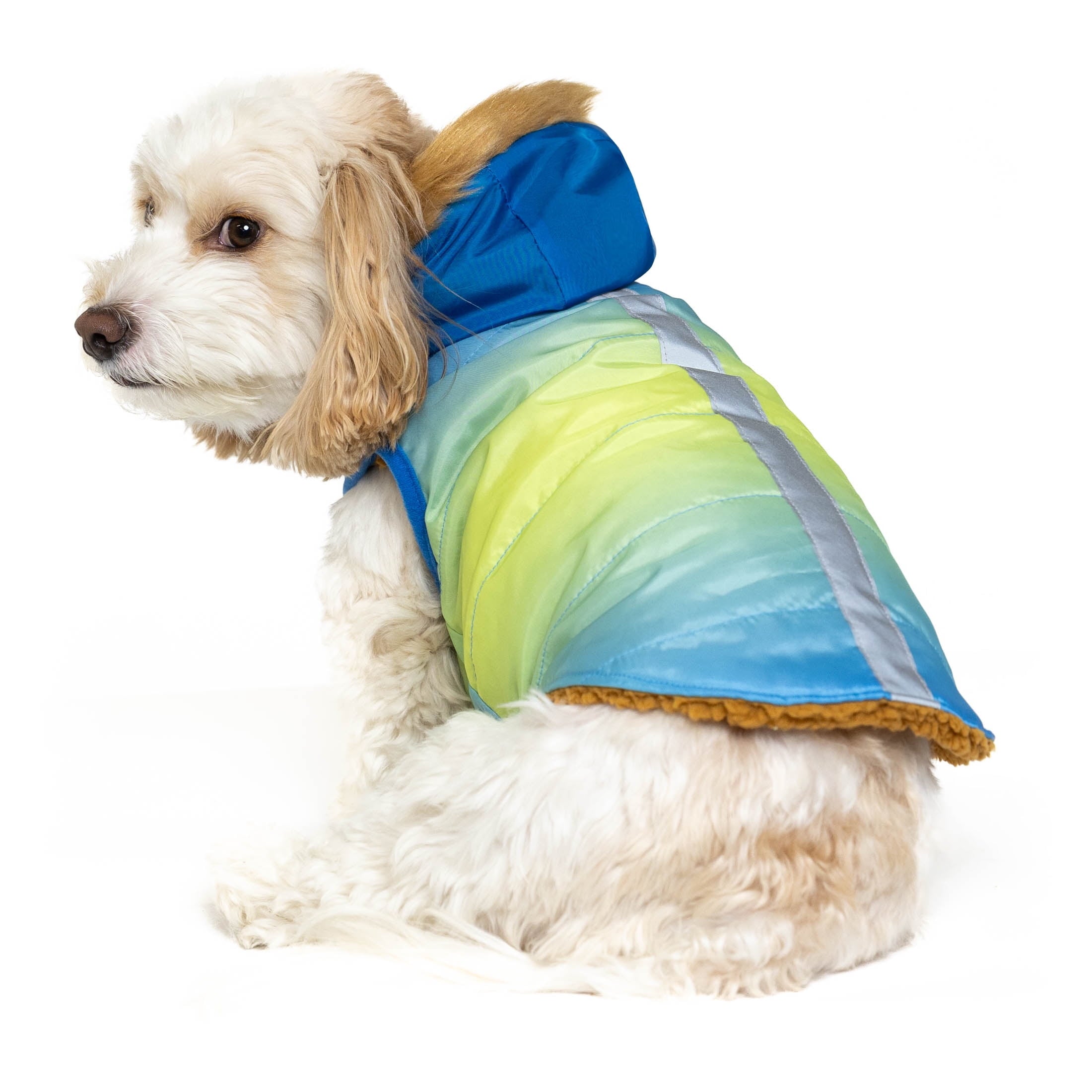 Vibrant Life Pet Hooded Jacket, Blue Ombre, S