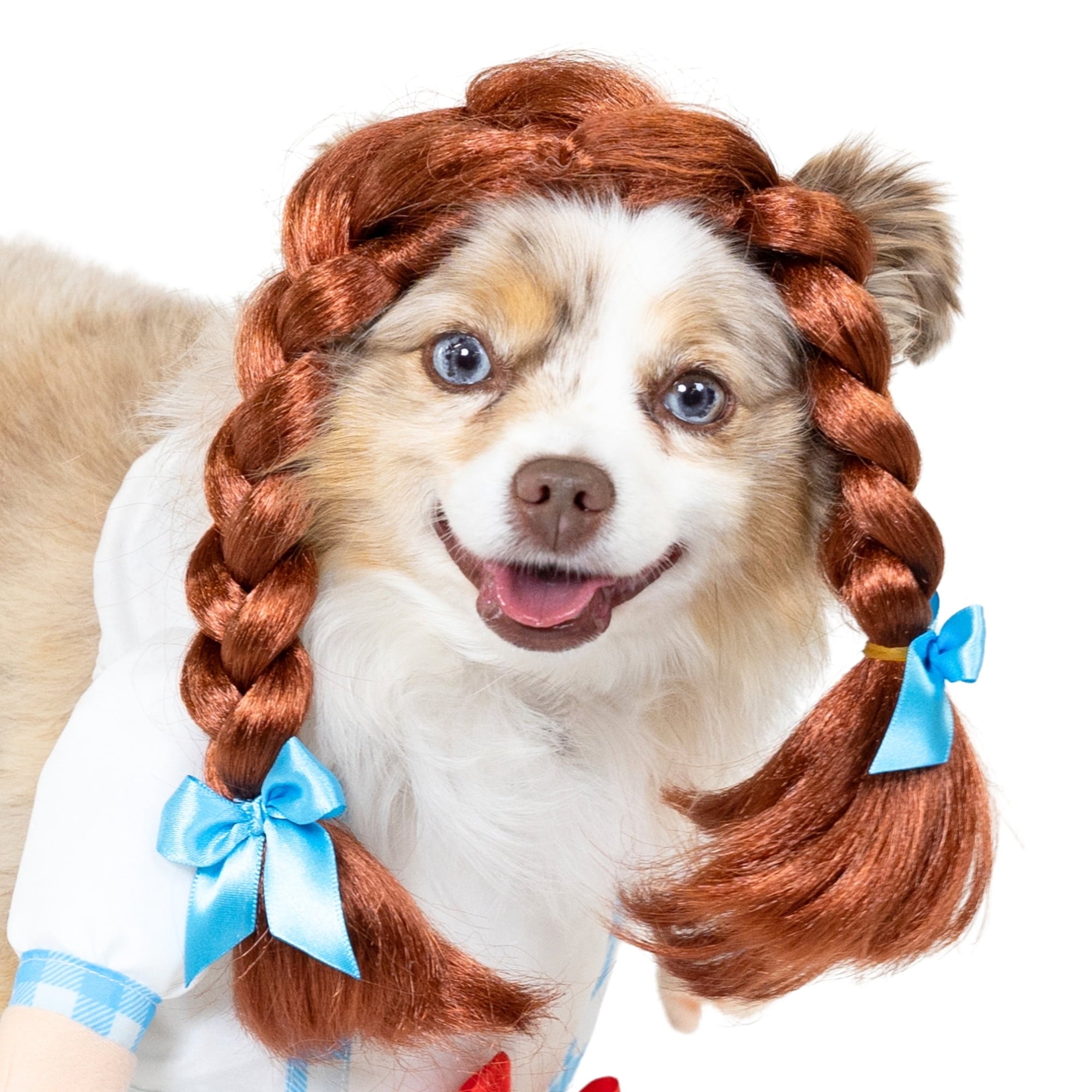 Vibrant Life Halloween Gingham Girl Costume for Dogs and Cats, Small