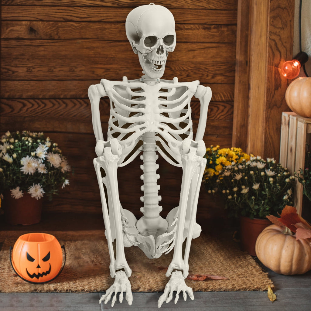 Kitem Skeleton Prop 5.4ft Poseable Life Size Halloween Decoration Plastic Full Body Human Bones Skeleton Party Supplies 1pc
