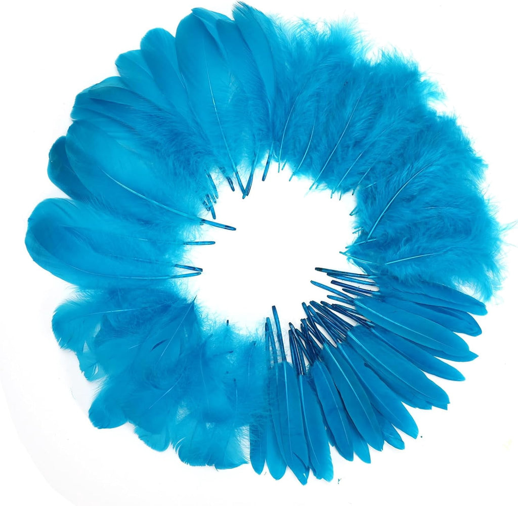 600PCS Red Feathers, 3-4.7 inch Feathers Bulk for DIY Crafts Wedding Halloween Costume Party Decorations Dream Catcher Supplies