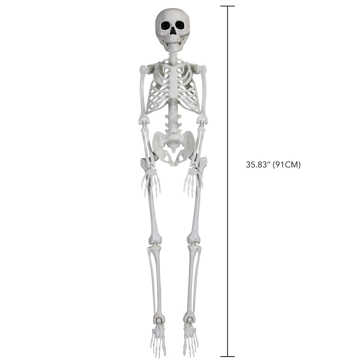 Faux Skeleton Decoration, White, 35", Halloween by Way To Celebrate