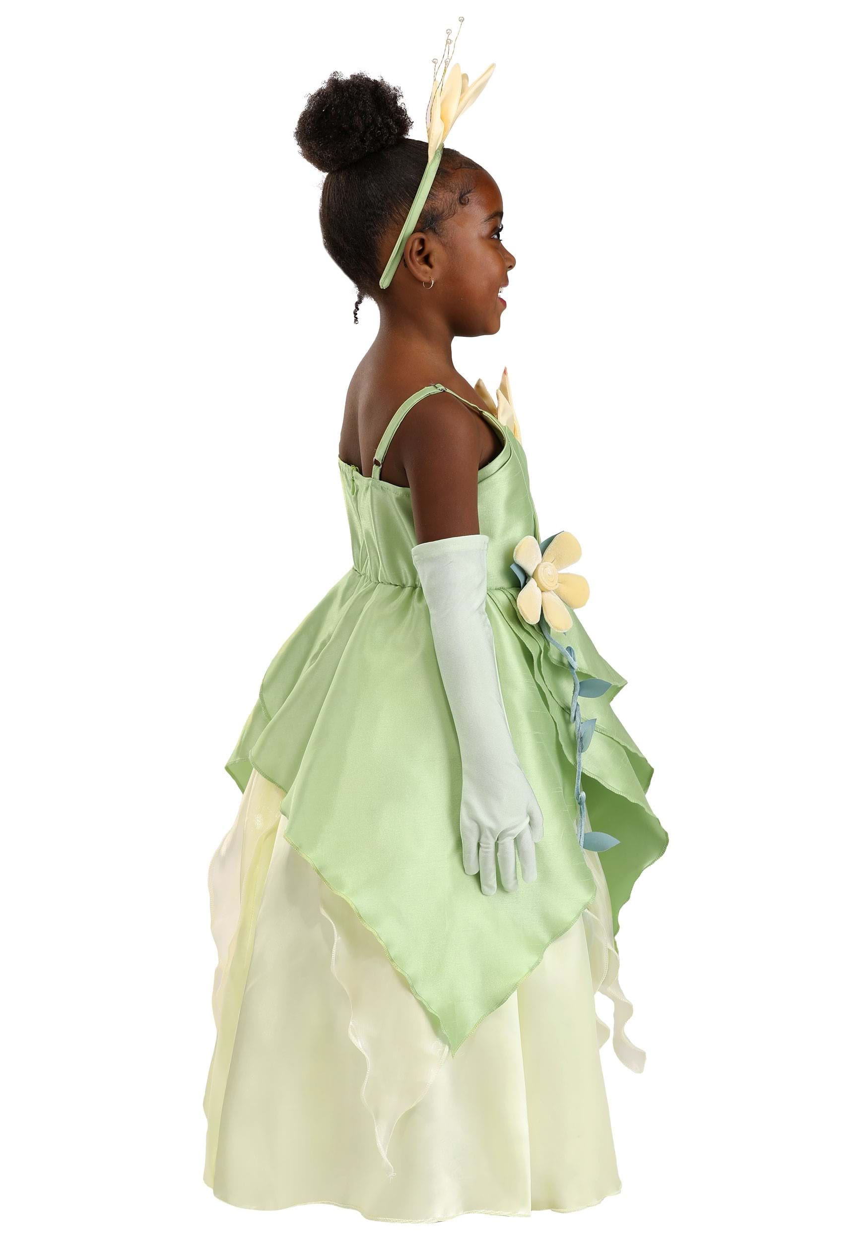 Girl's Toddler Disney Princess and the Frog Tiana Costume