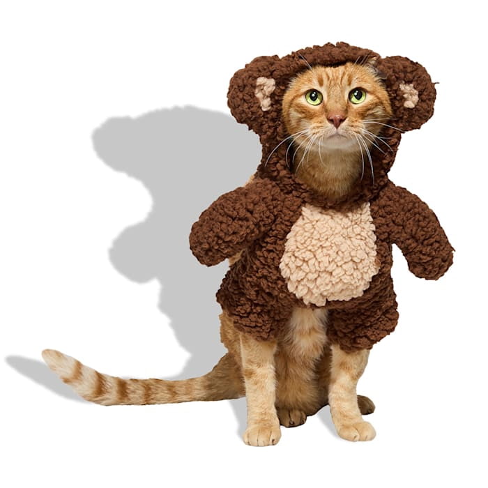 Petco Teddy Bear Illusion Pet Halloween Costume X-Large