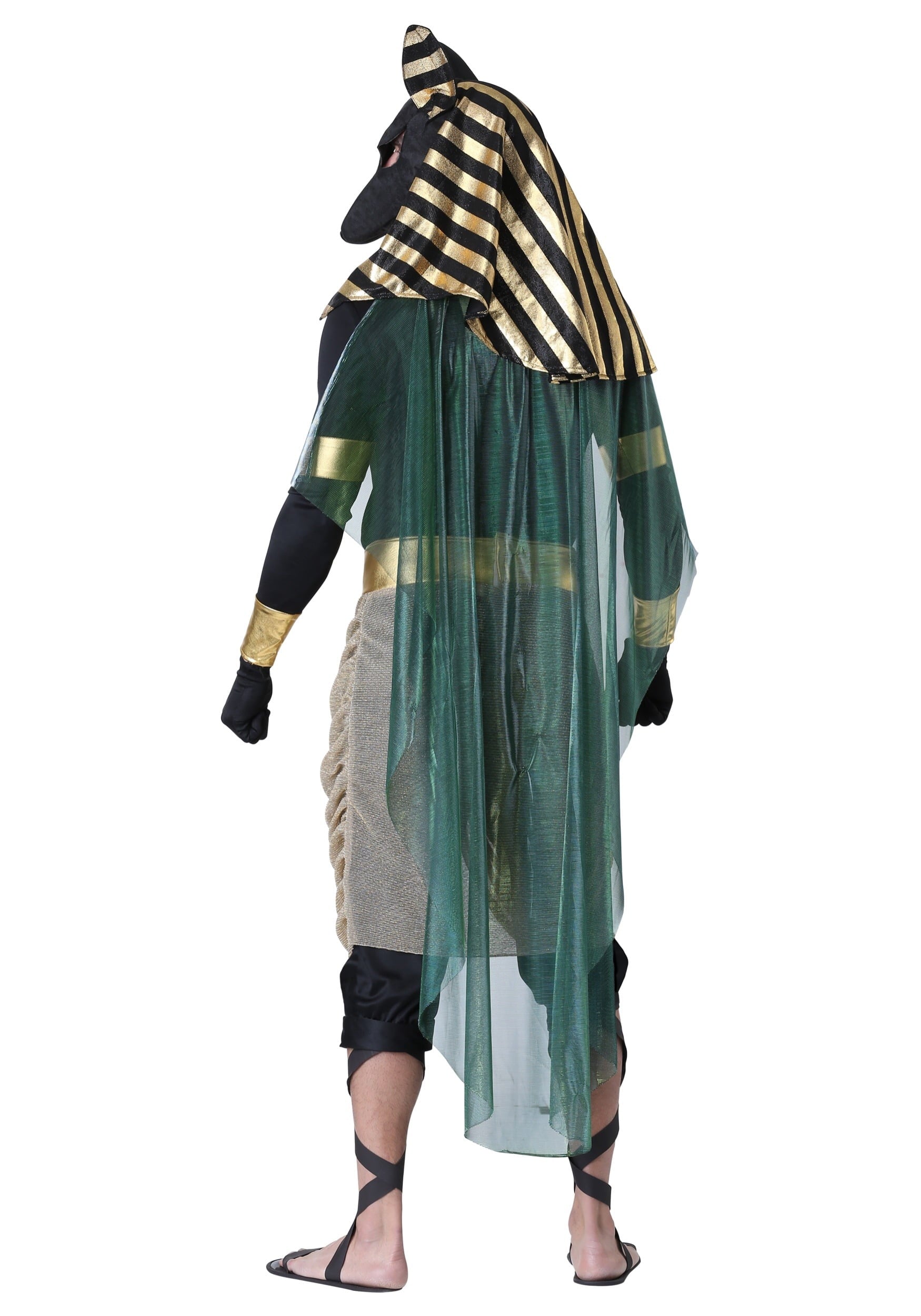 Adult Men's Anubis Plus Size Costume