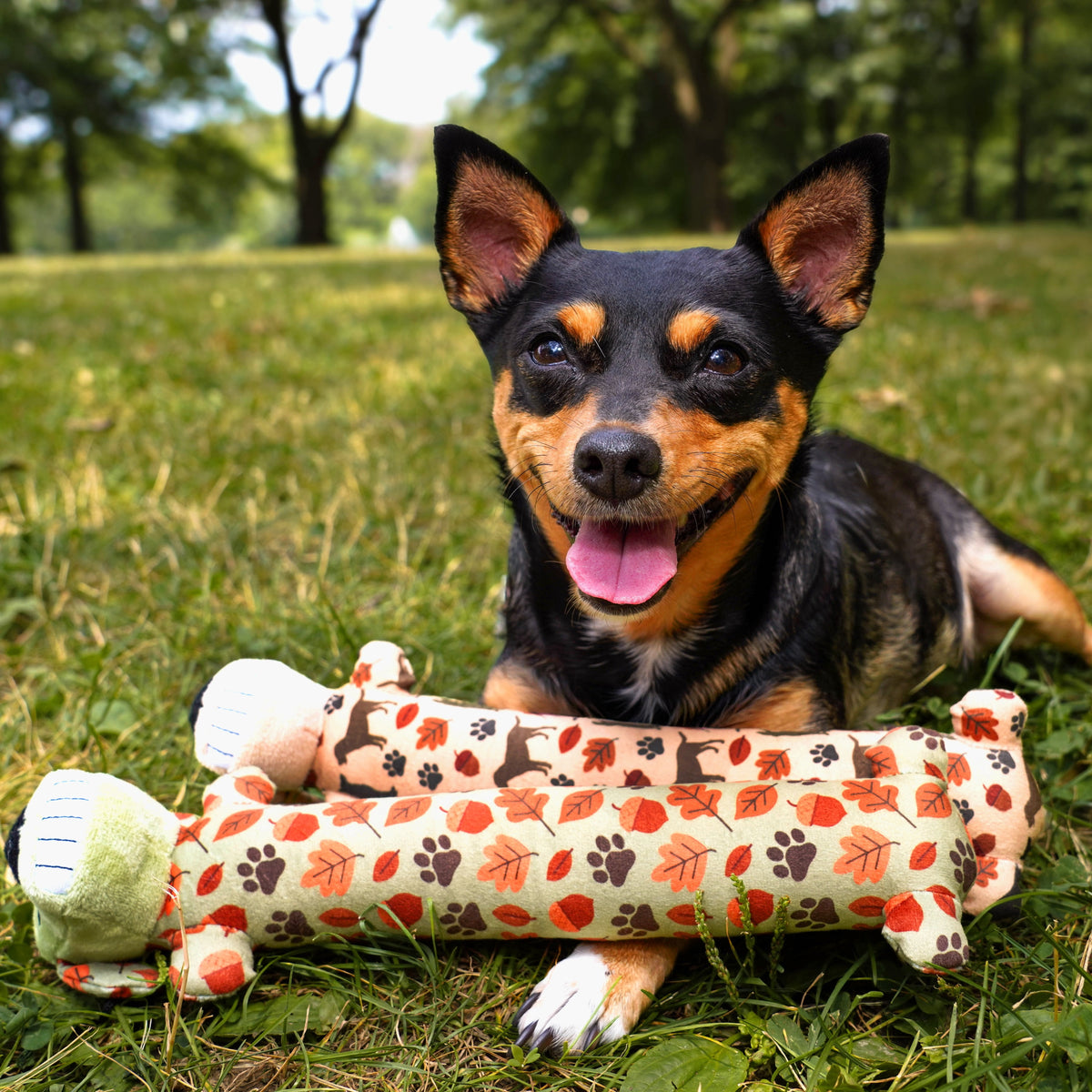 Multipet Fall Pattern 12” Smiling Dog 2pc Dog Toy Value Pack