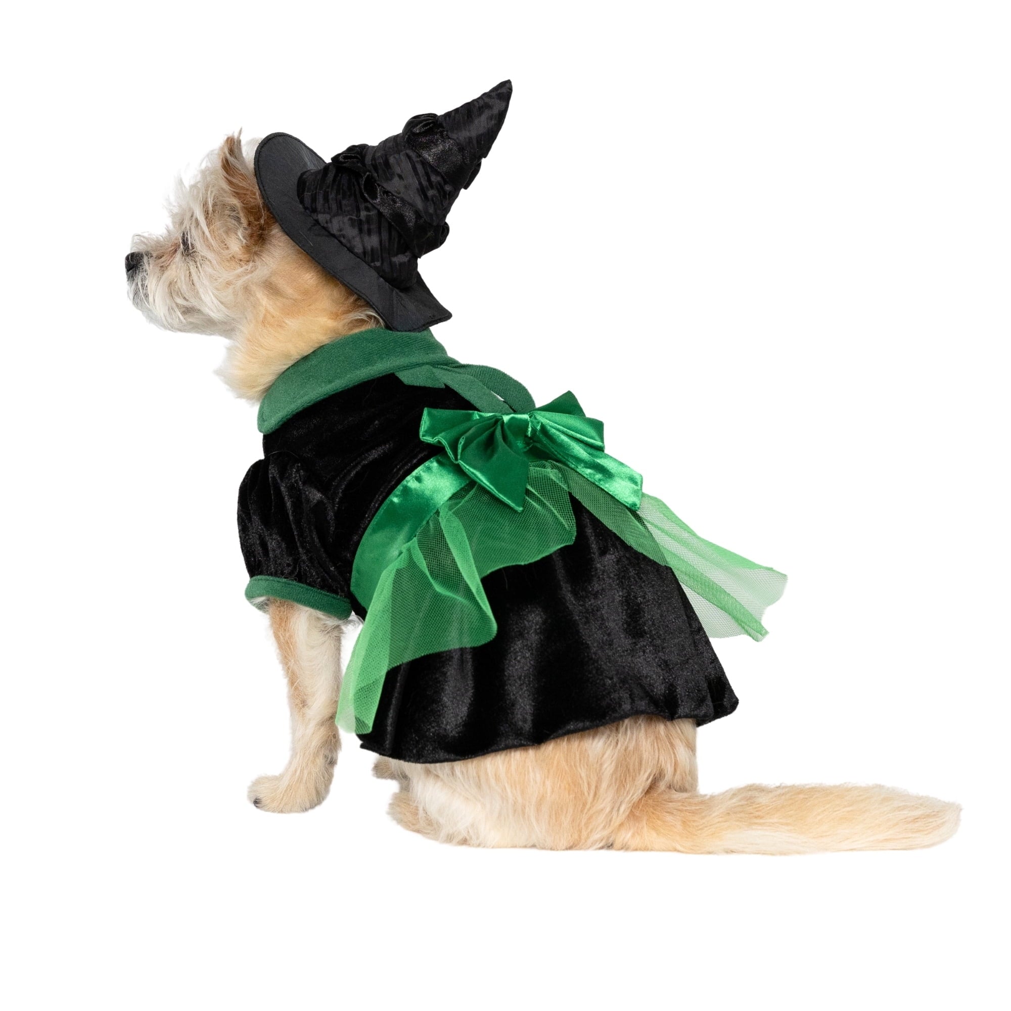 Vibrant Life Halloween Bad Witch Costume for Dogs, Green and Black, Extra Large