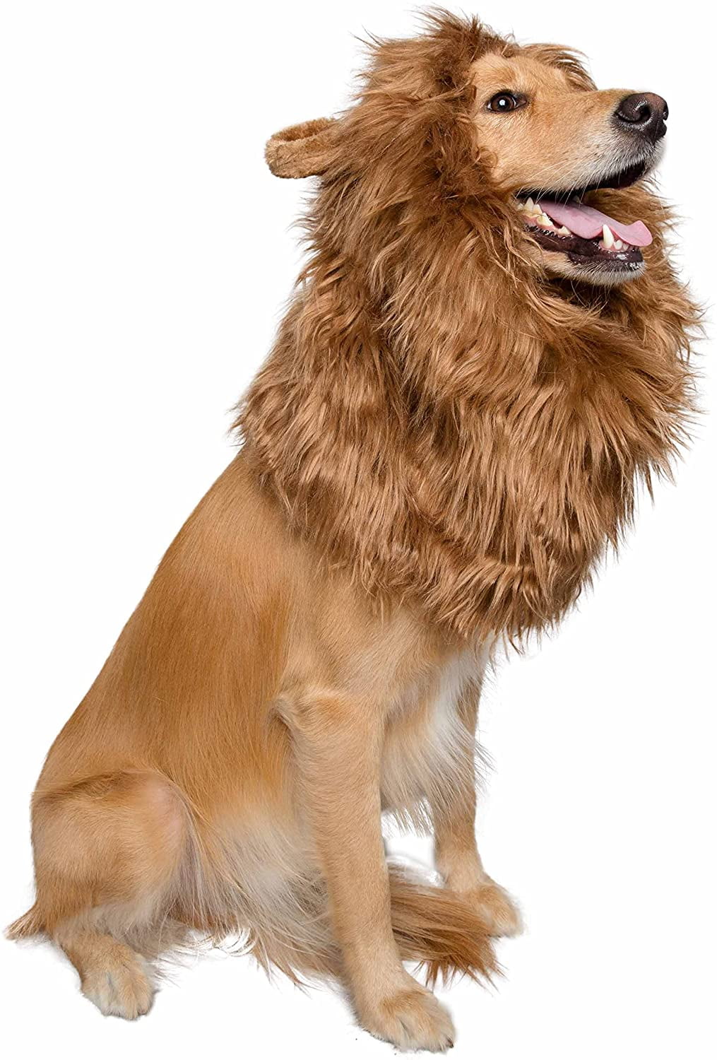 Pet Krewe Dog Lion Mane Halloween Costume Lion Mane for Large and Small Dogs – Ideal for Halloween, Dog Birthday, Dog Cosplay, Dog Outfits, Pet Clothes