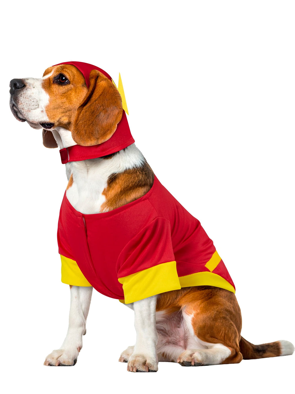 Flash Pet Costume