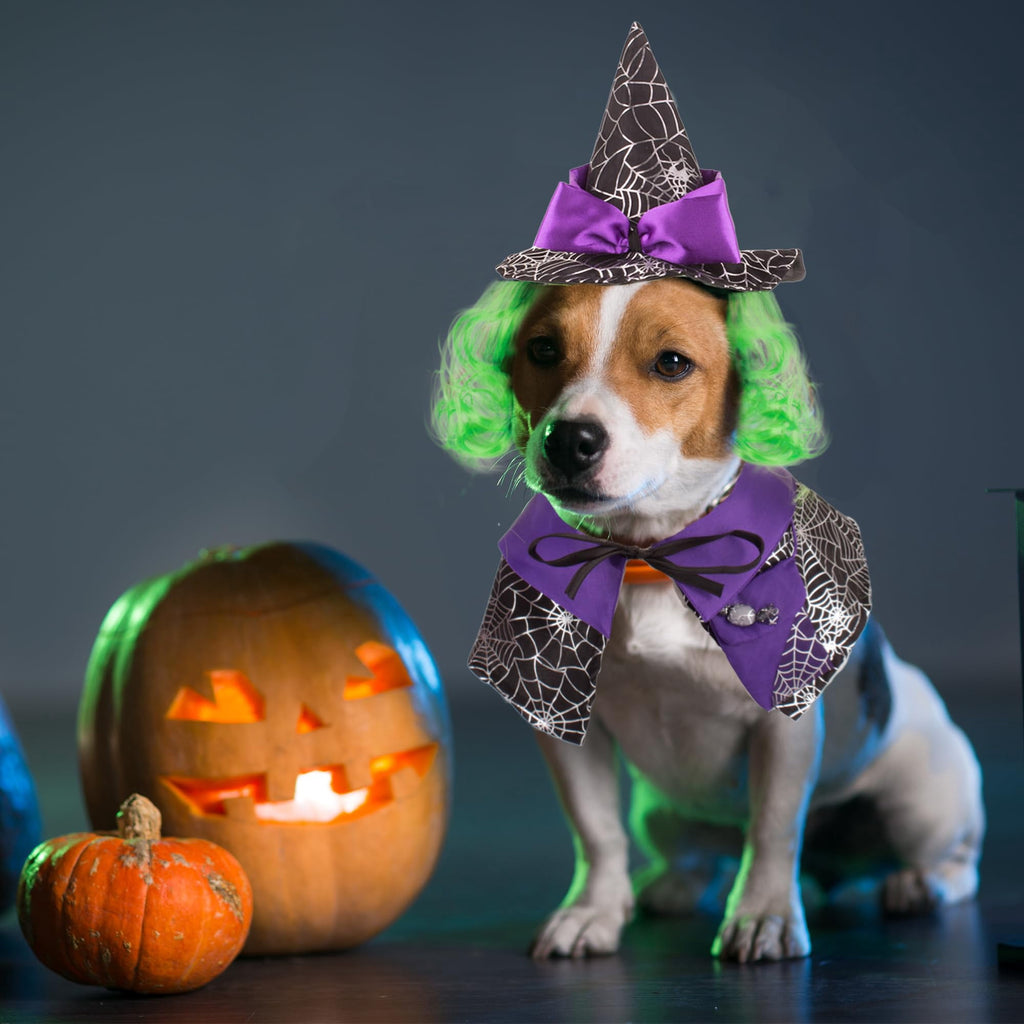 WILLED Halloween Pet Costumes, Cat Wizard Costume, Dog Witch Cloak & Hat, Purple Witch Cloak for Cats, Dogs, Kittens, Puppies, Rabbits, Perfect for Halloween, Parties, Cosplay, and Daily Wear