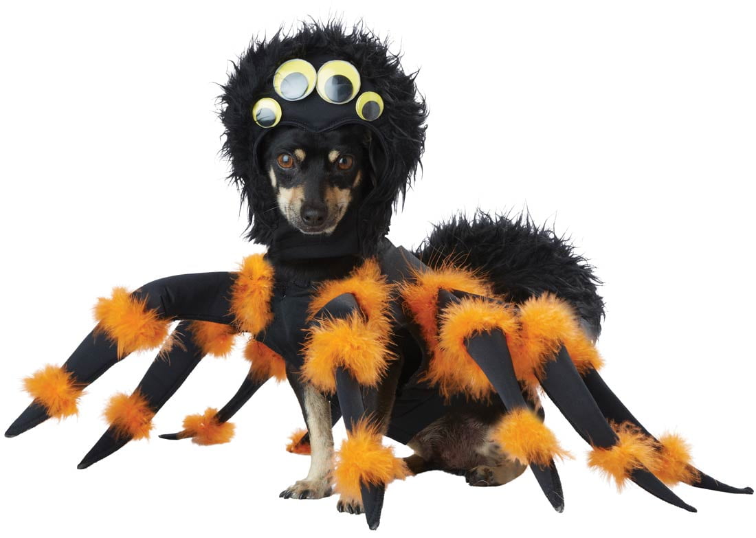 California Costumes Spider Pup Pet Costume Size Medium Unisex