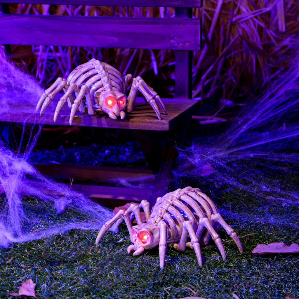 Joyfy 2 Pcs Duck Skeleton Halloween Decoration,4.5 Inch Posable Plastic Animals Halloween Skeleton for Indoor Outdoor Halloween Decorations,Haunted House Party Props
